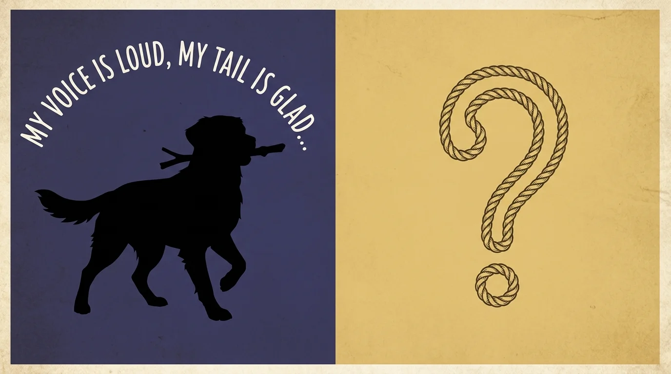 Pet Riddles With Answers
